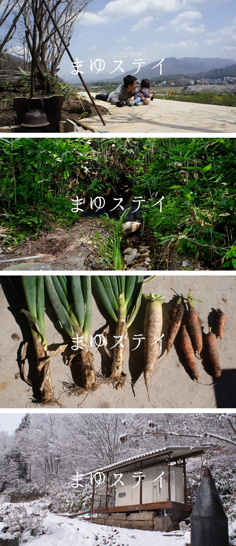 まゆステイ
